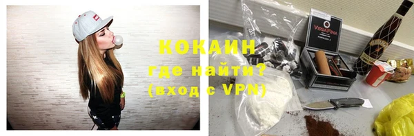 бошки Белокуриха