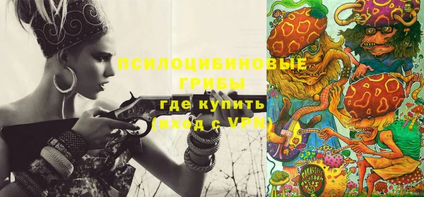 гашик Балахна
