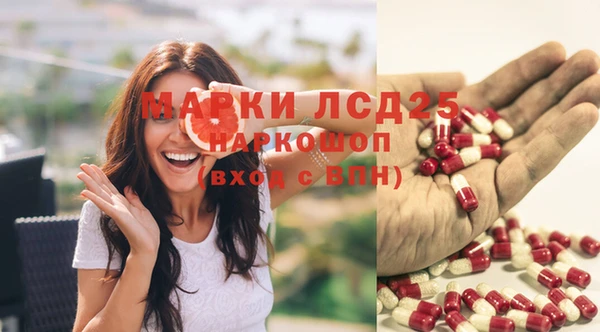 гашик Балахна
