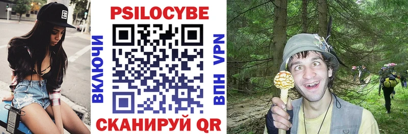 Псилоцибиновые грибы Cubensis  Куровское 
